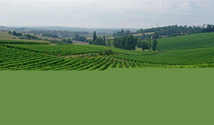 Hôtel des Francs Garçons - Saint-Sauvant