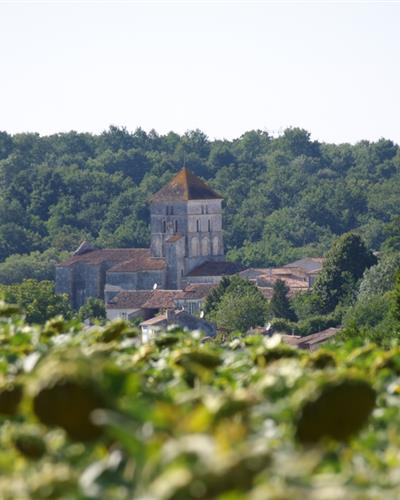 Hôtel des Francs Garçons - Saint-Sauvant